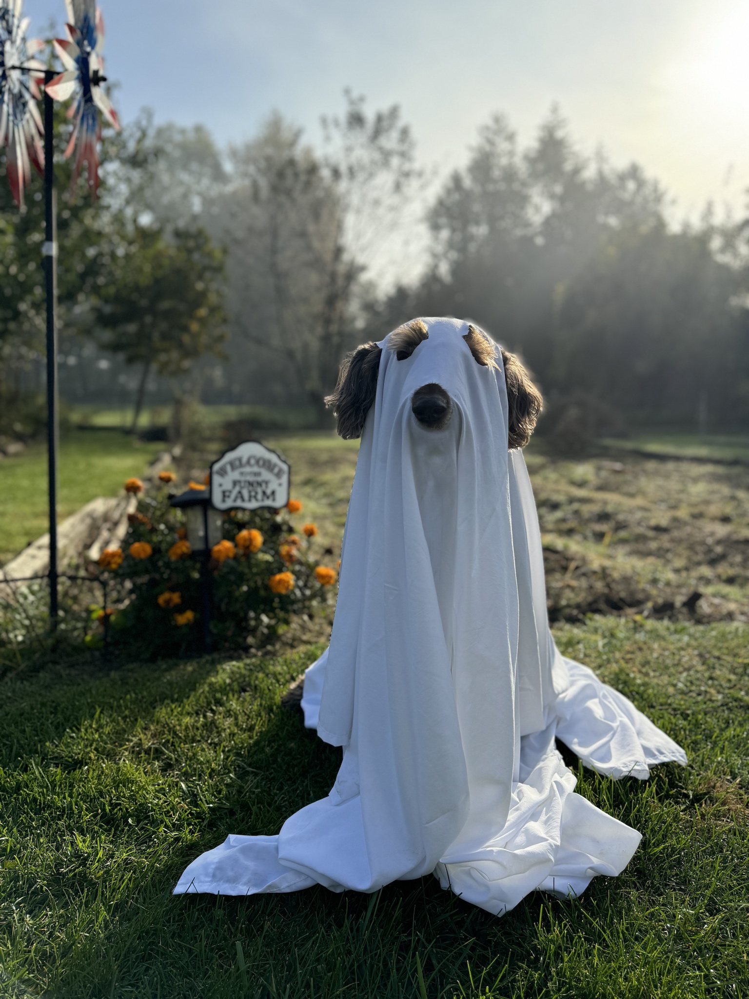 Wishing You a Spooky and Happy Halloween!