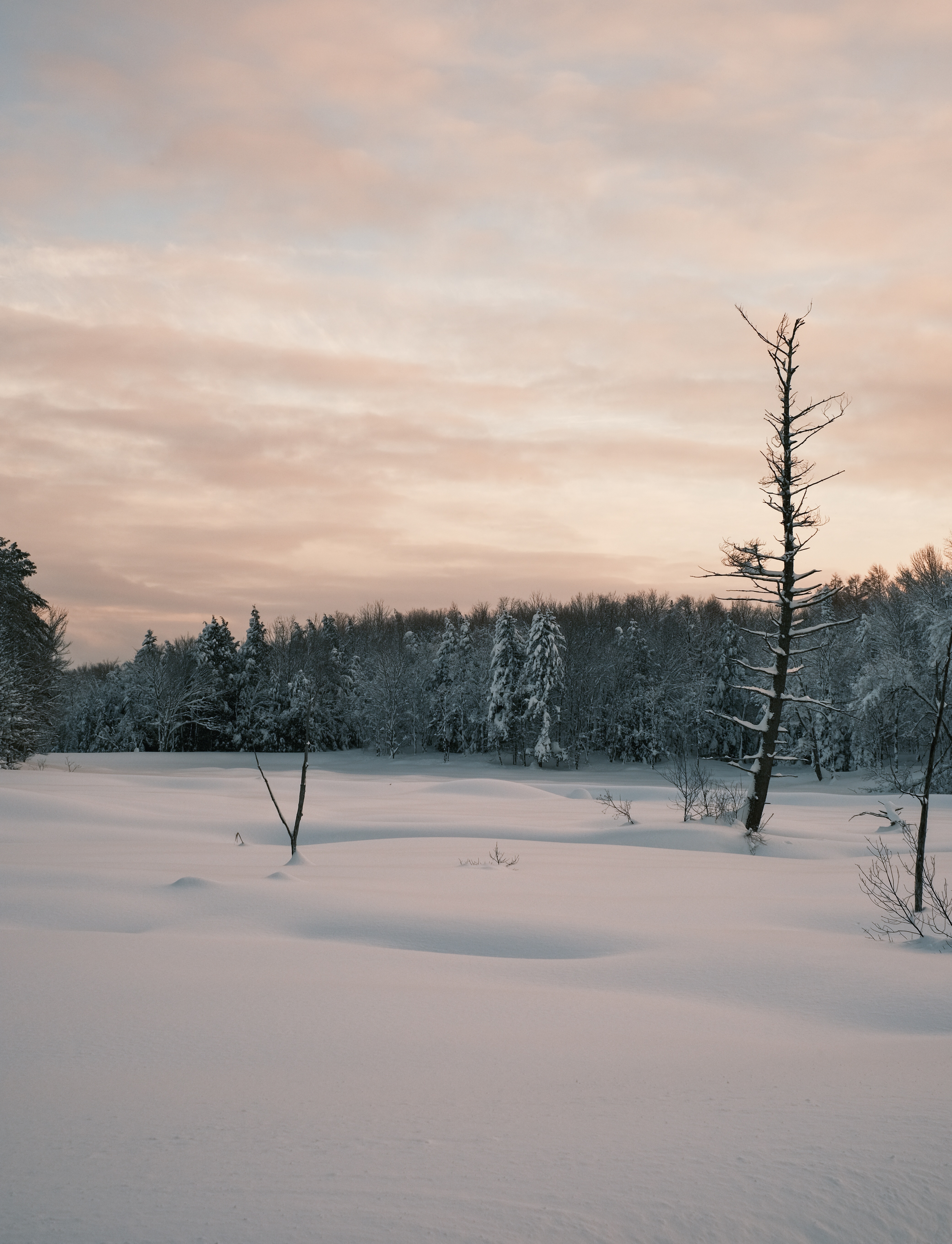 75 Inches of Snow in Point Rock, NY - Winter Wonderland!