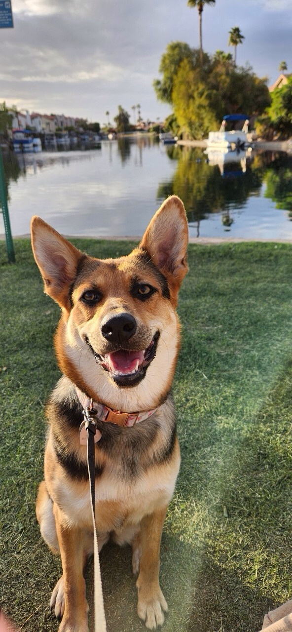 Bella Enjoying a Serene Day at the Lake