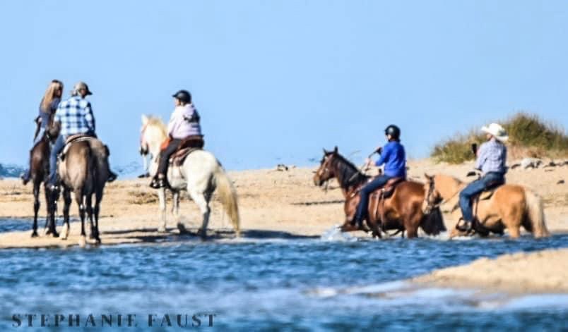 Riding Along the Beach: A Perfect Day Out