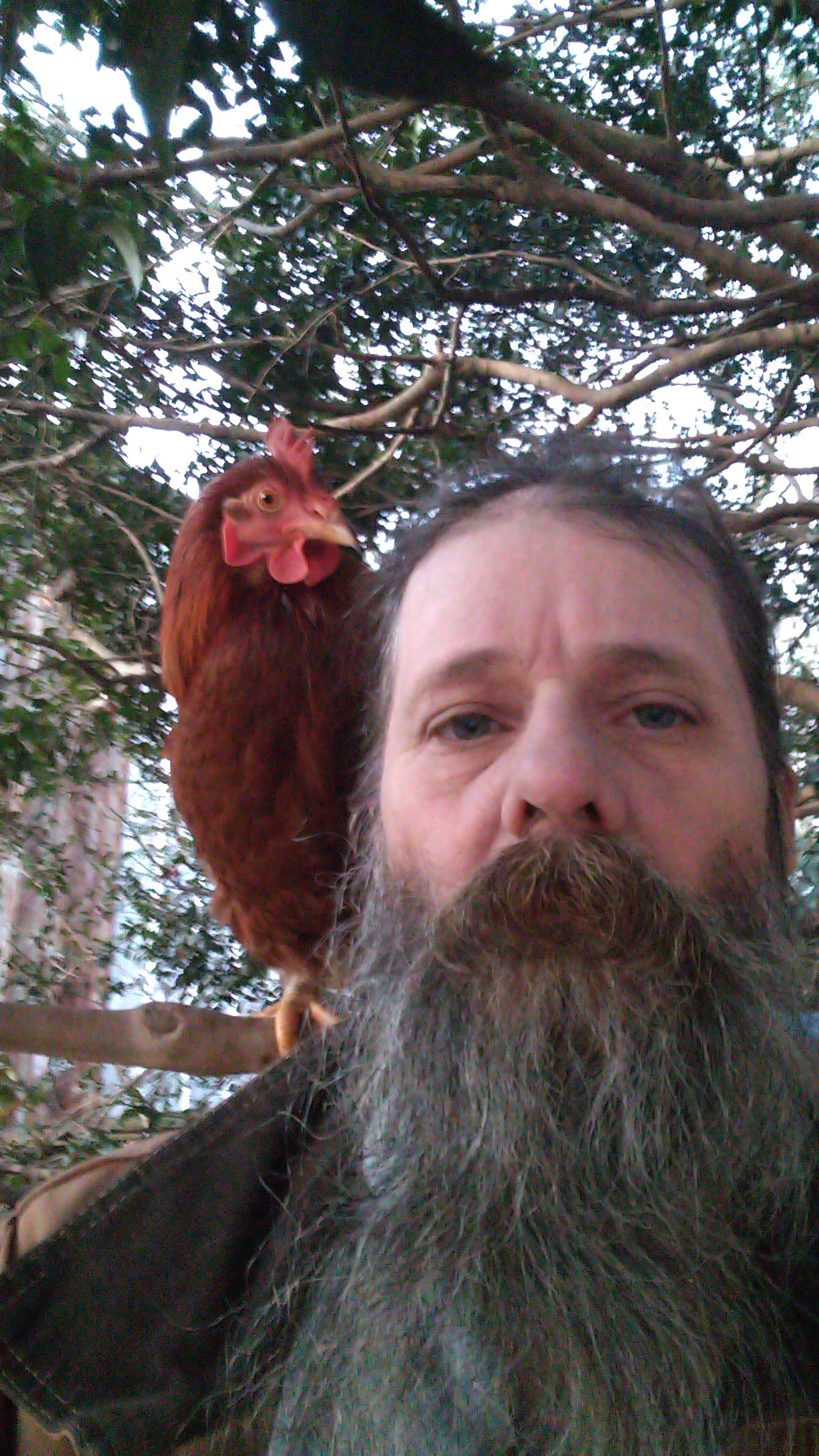 Molly and I Sending Merry Christmas Wishes to Everyone!