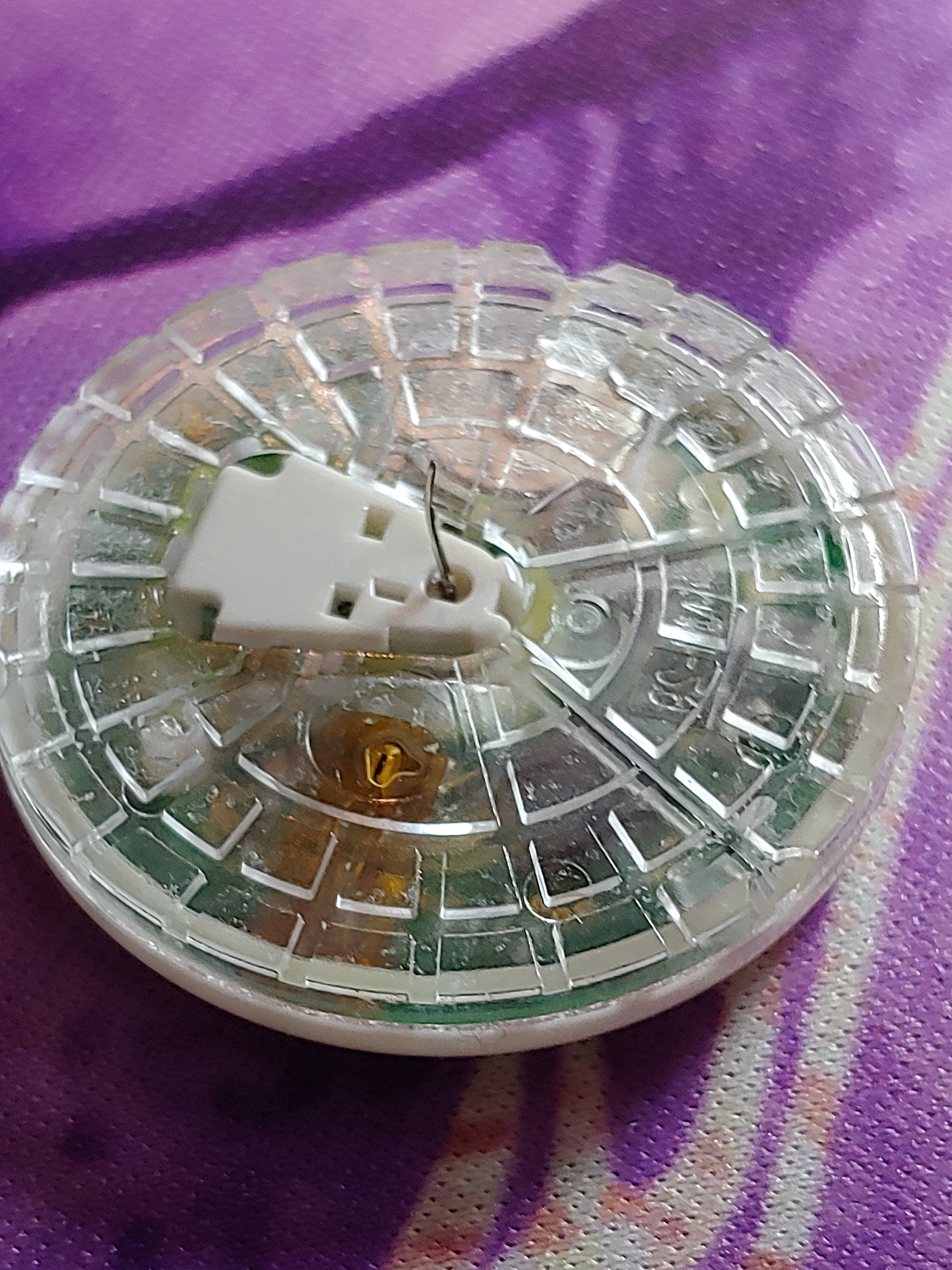 Capturing the moment with a dead sensor selfie!