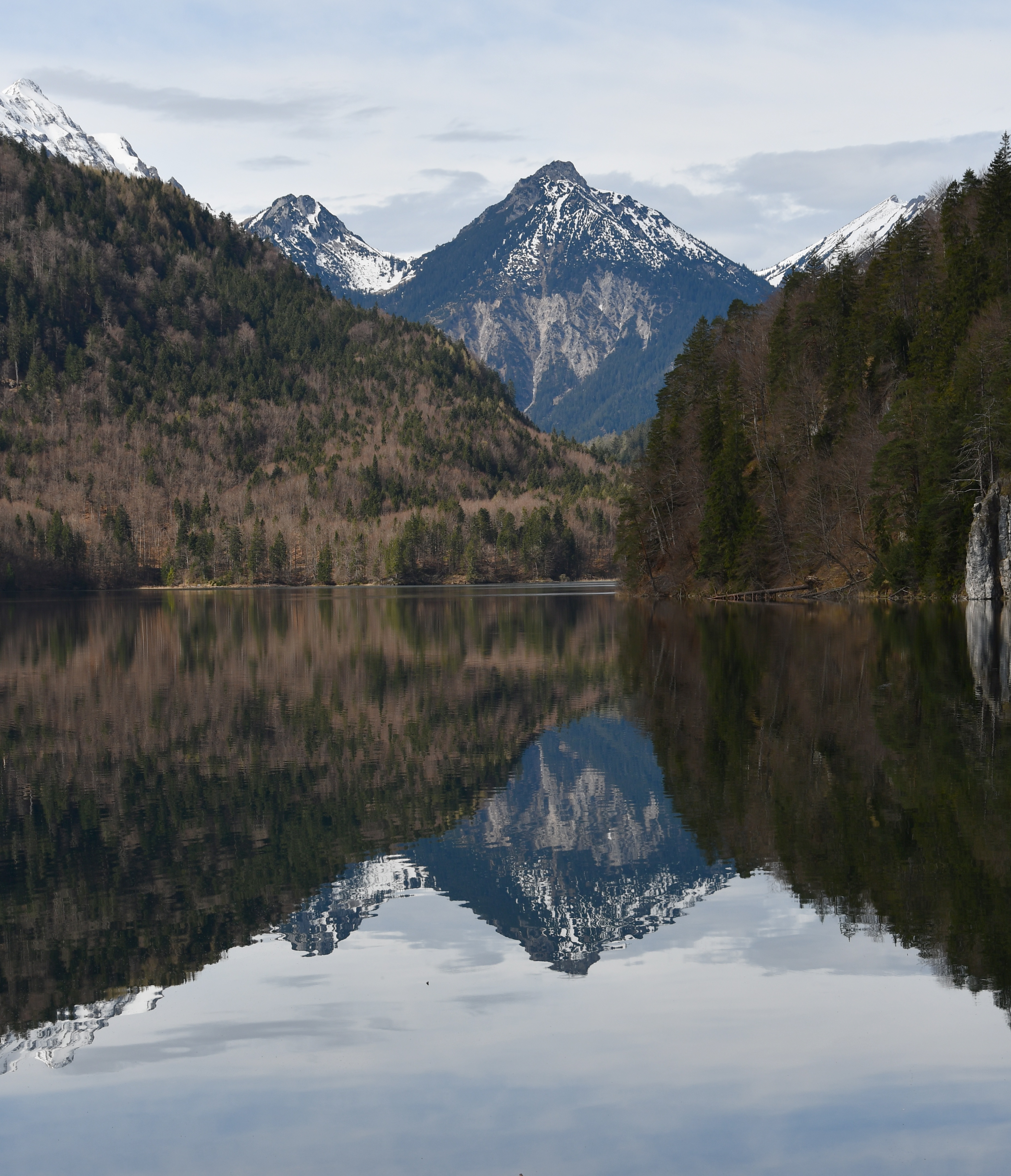 Stunning Reflections on Alpsee Lake in Germany