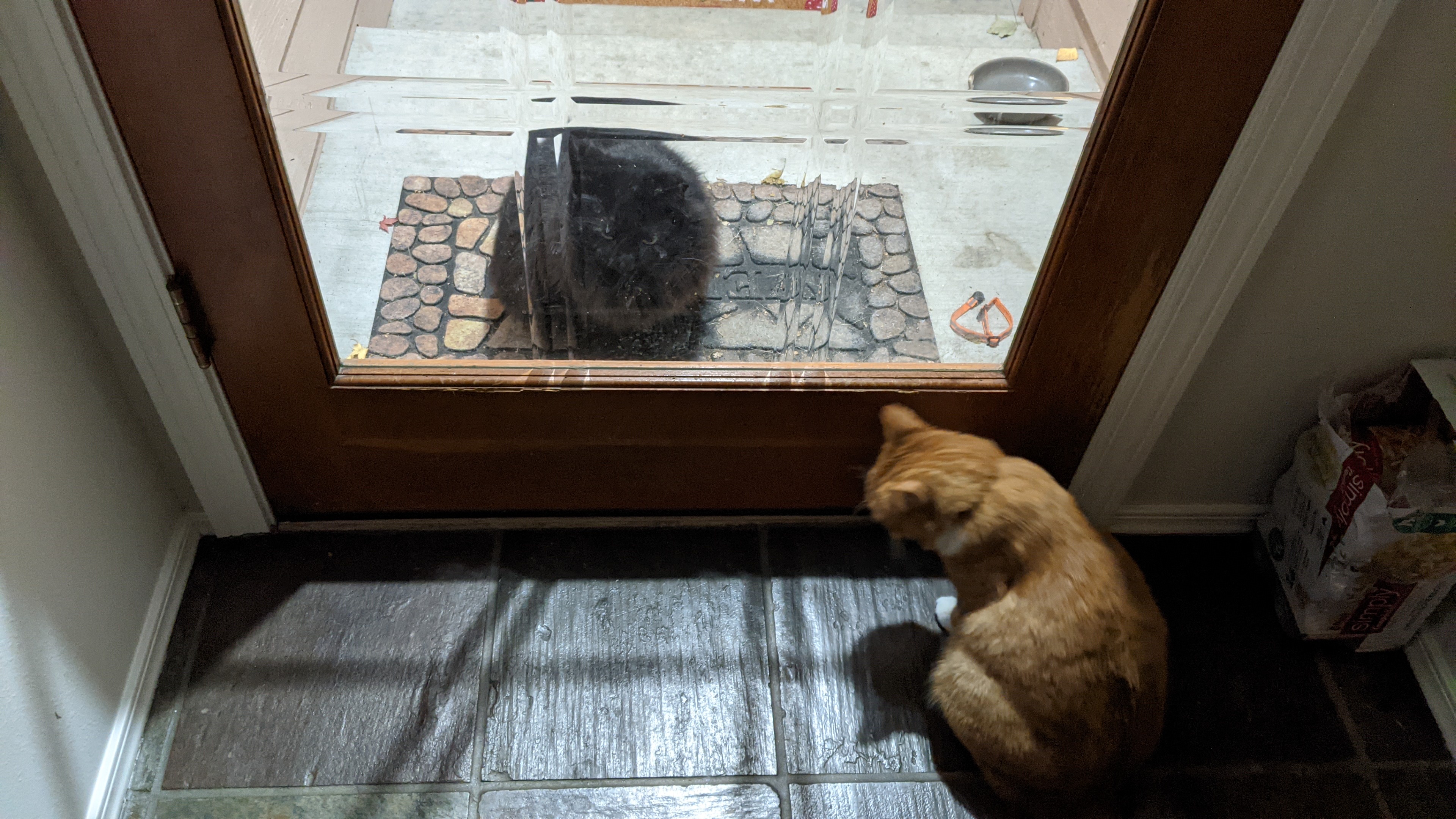 Love knows no boundaries, even through a door