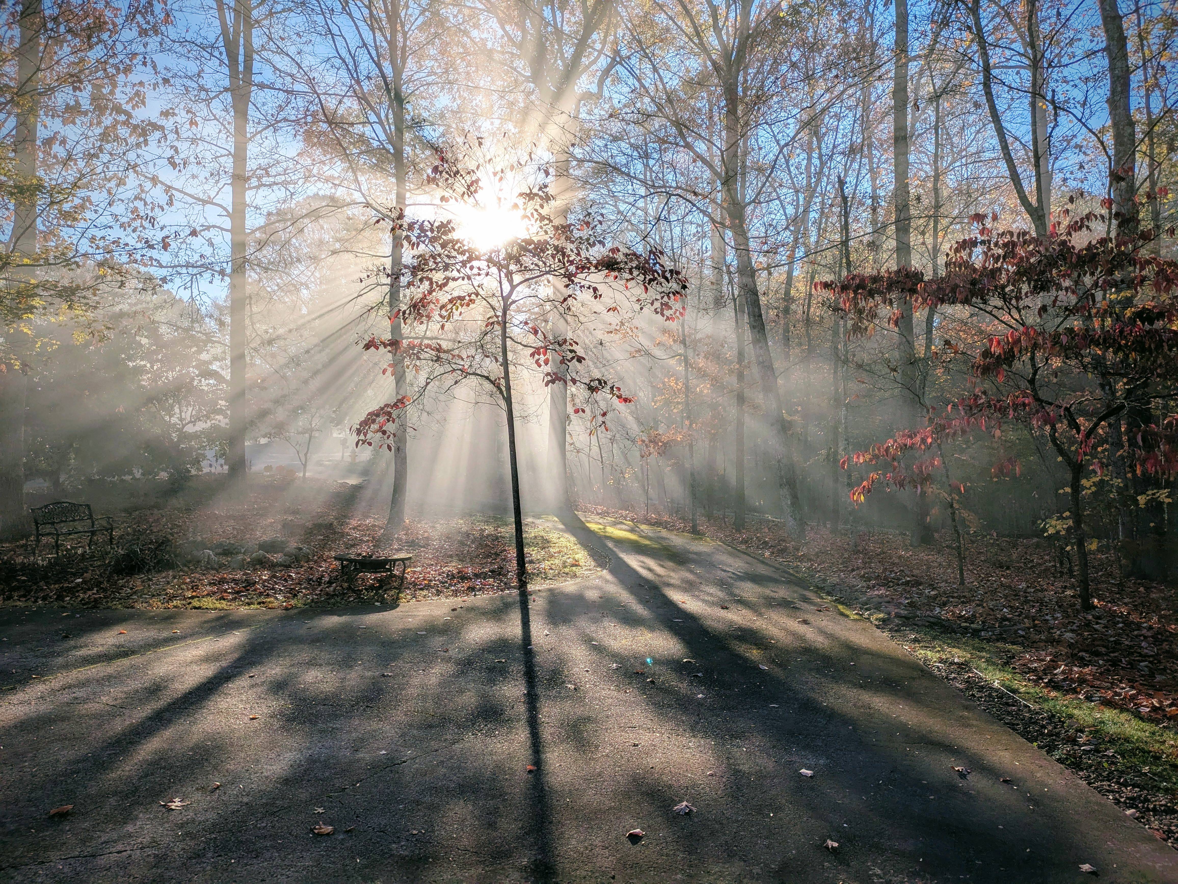 A Beautiful Sunrise Breaking Through the Fog