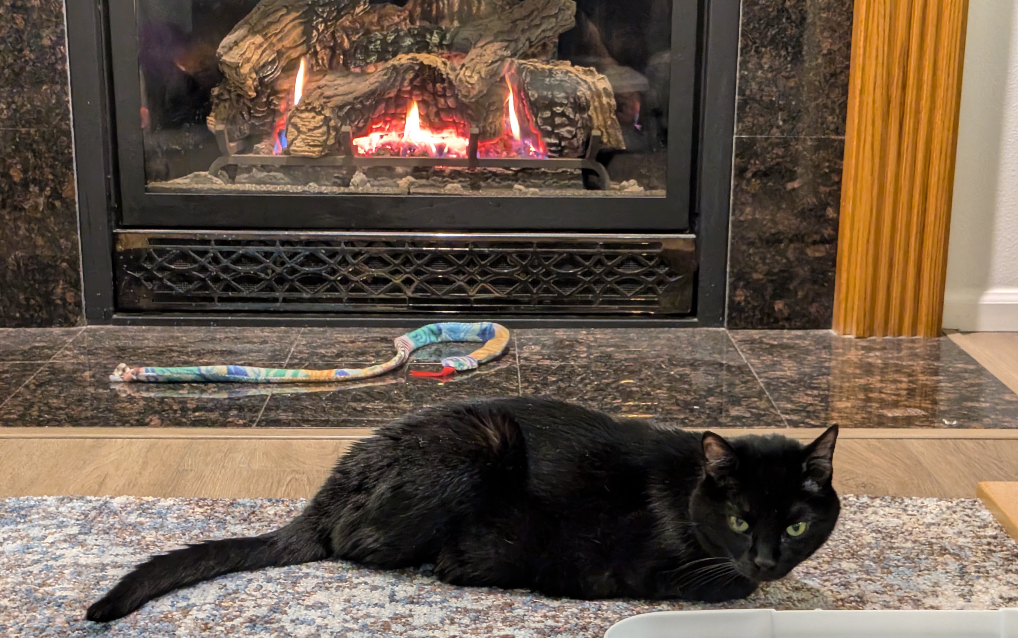 Splunk enjoying a cozy fire