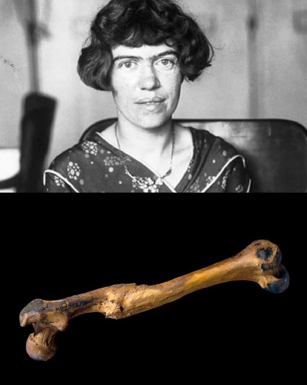 The Surprising Insight from Margaret Mead on Civilization's First Sign