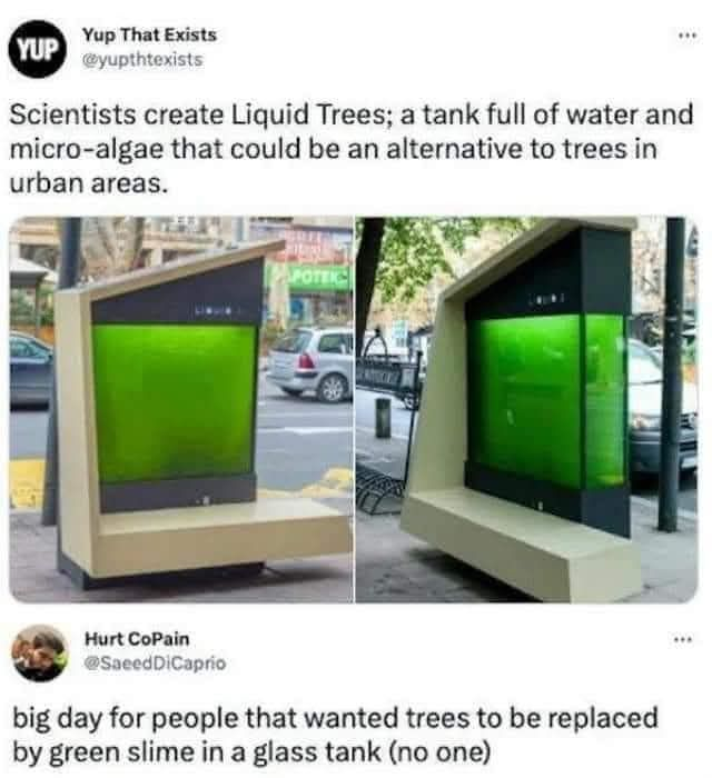 A tribute to the beauty of trees.