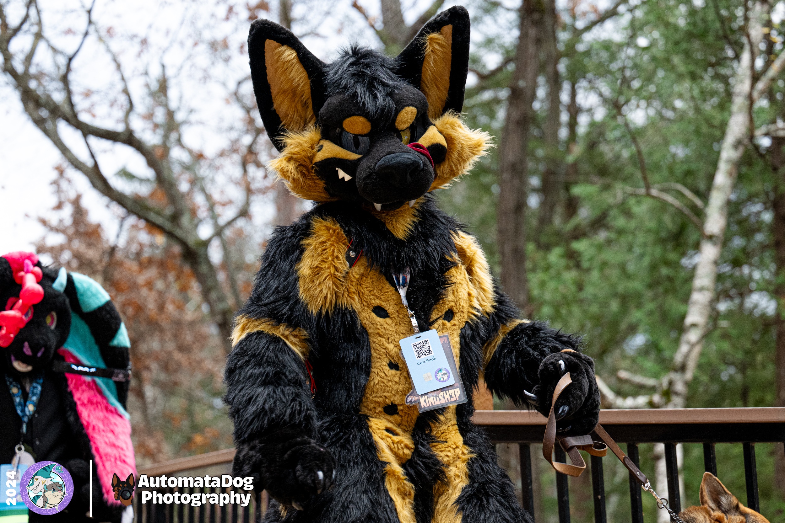 A Day in the Life of a Furry Photographer - Day 441