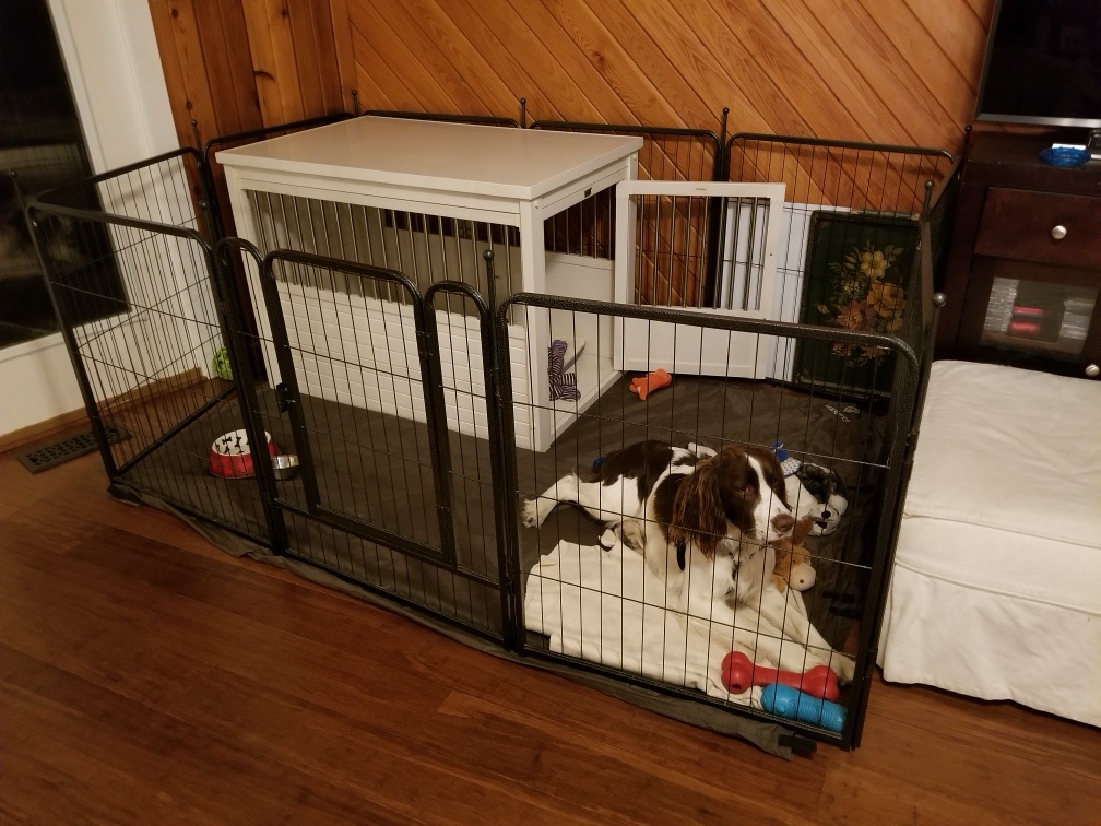 Santa Surprised Sunny with an Early Visit