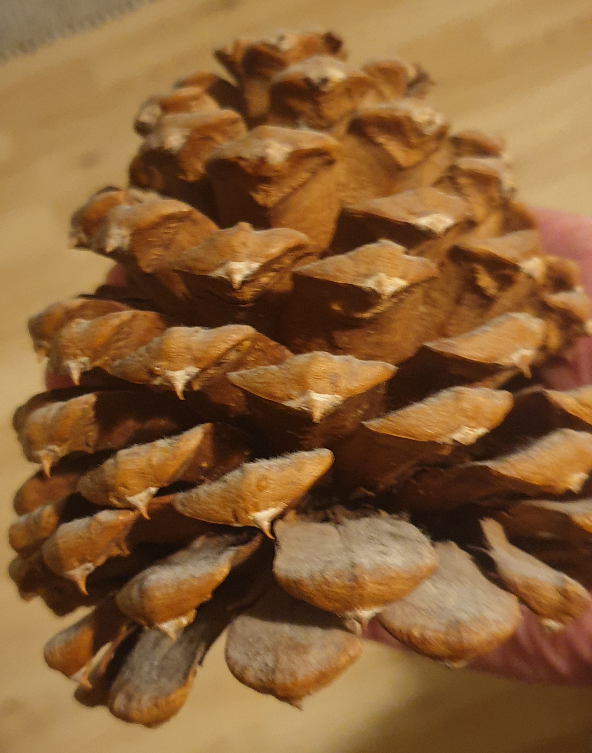 The Classic Cone: A Simple Yet Powerful Symbol