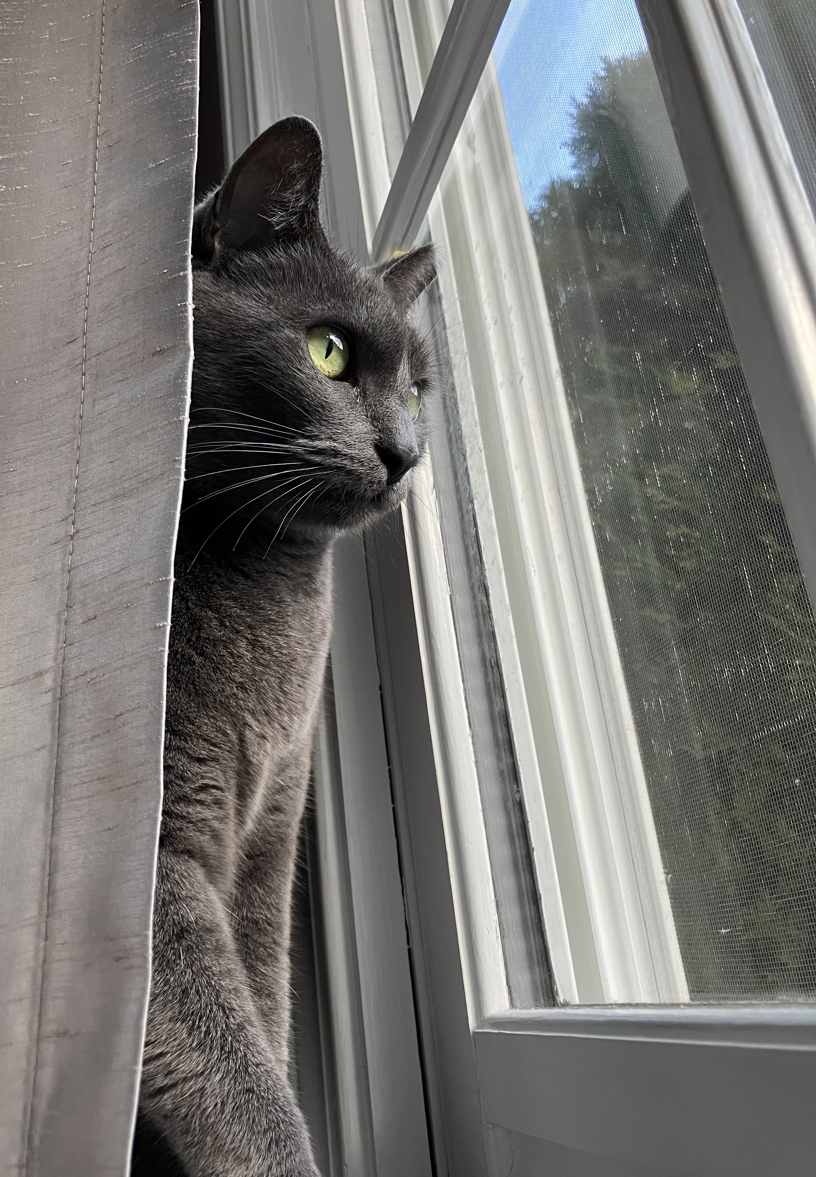 Your Daily Dose of Snickering: Pic #103