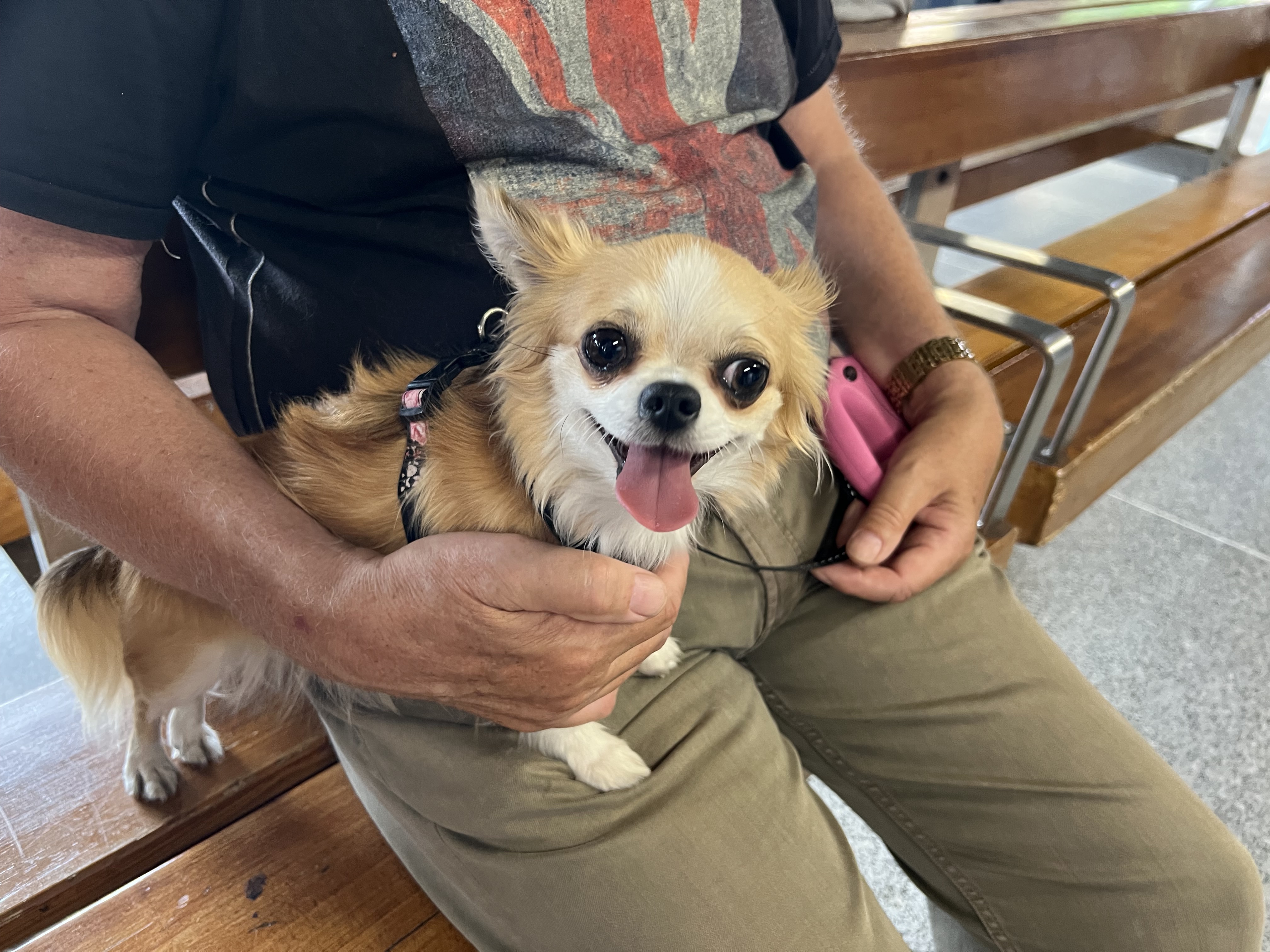 Adorable tiny paws that bring endless joy!