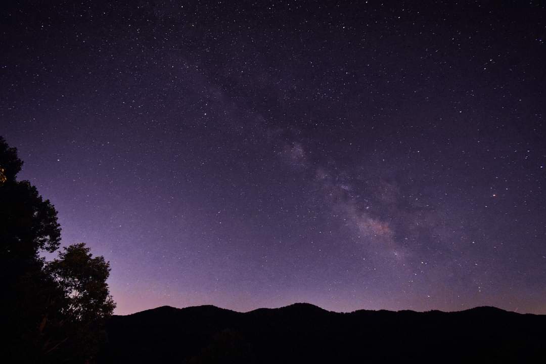 A collection of stunning Milky Way photographs.