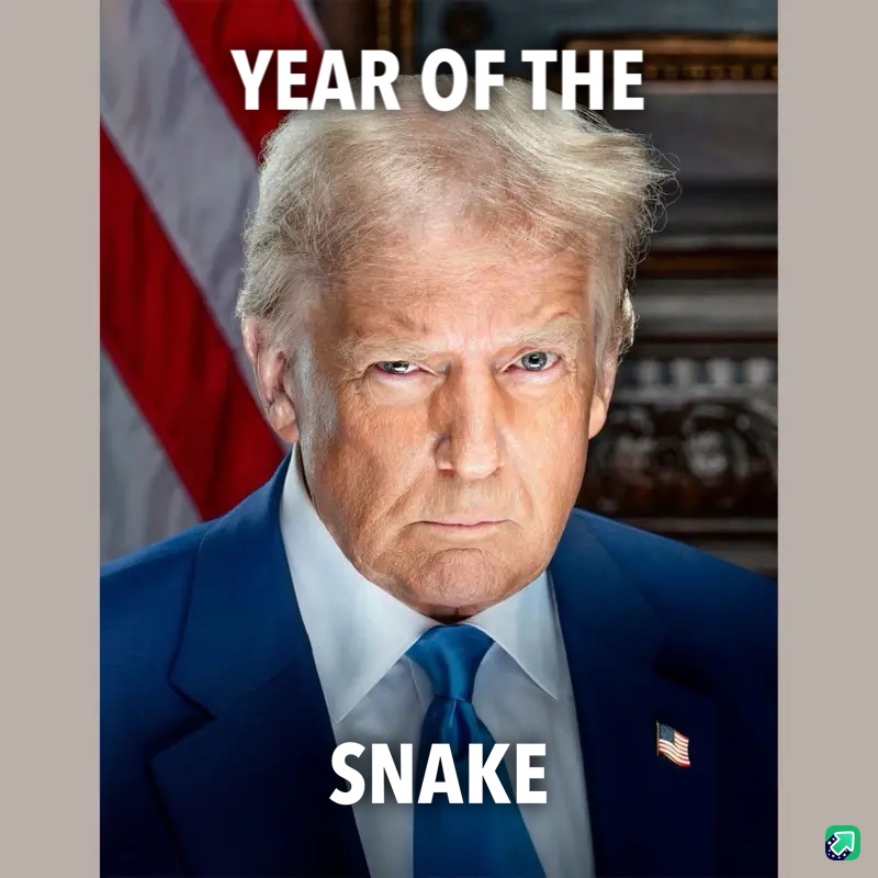 Welcome to the Year of the Snake!