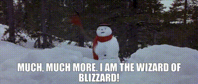 Join Team PINECONE: Wizards of Blizzards! (Forgive the 98 movie quality)