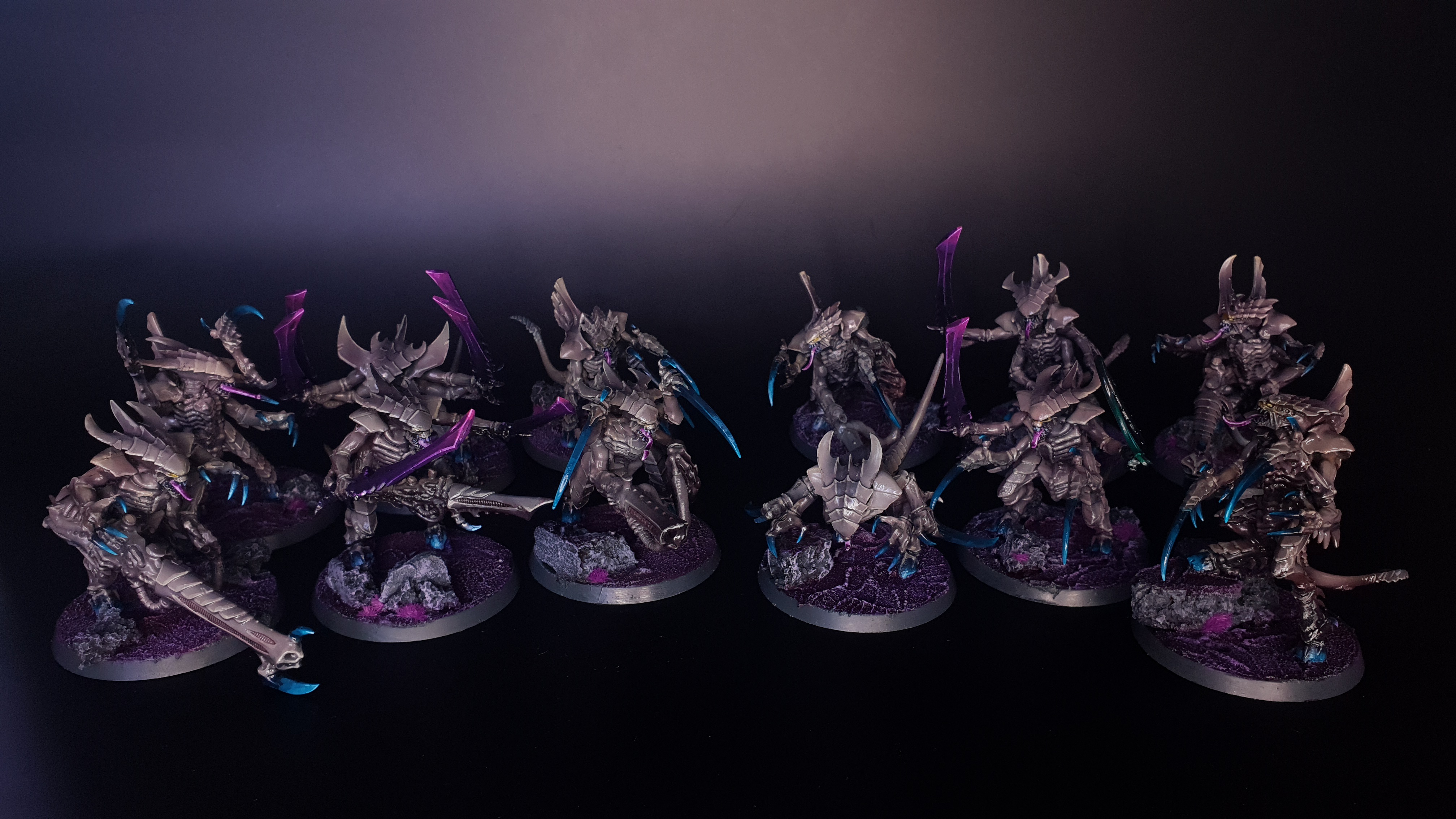 A Dramatic Showdown: 12 Angry Nids