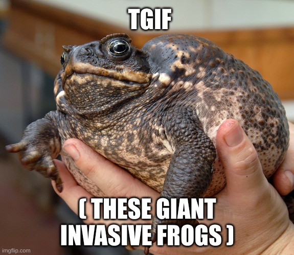 Cheers to Friday!