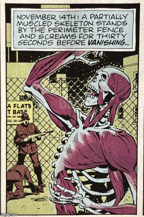 Wishing a Joyful Partially Muscled Skeleton Day to All Celebrants!