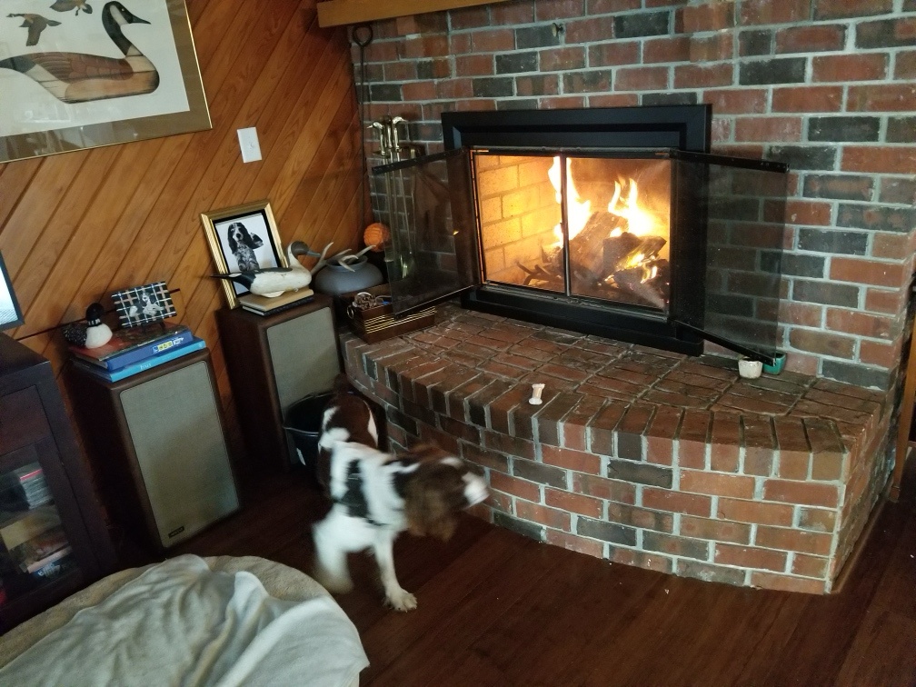 The Fiery Spirit of a Baby