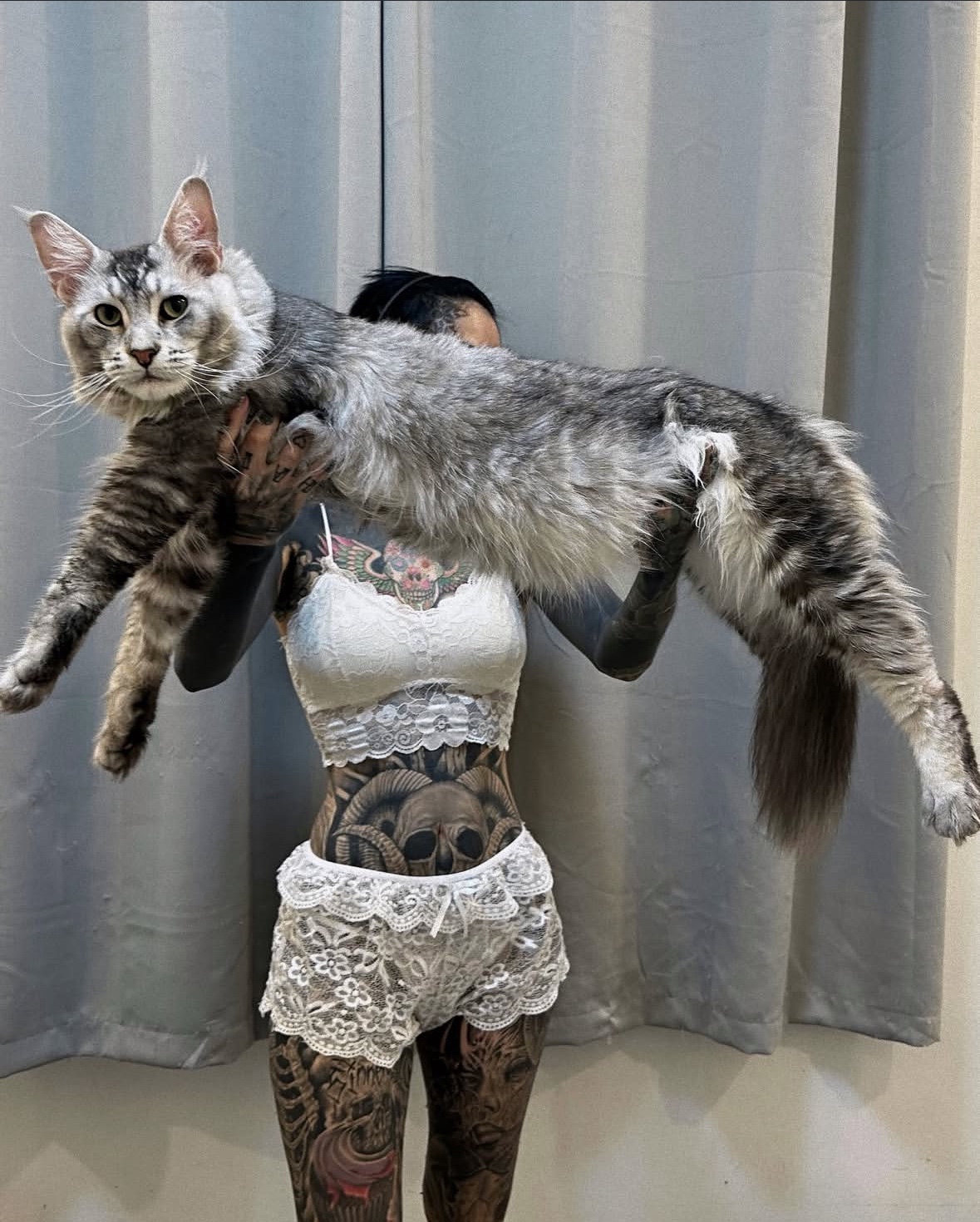 Majestic Big Cats and Their Impressive Tattoos