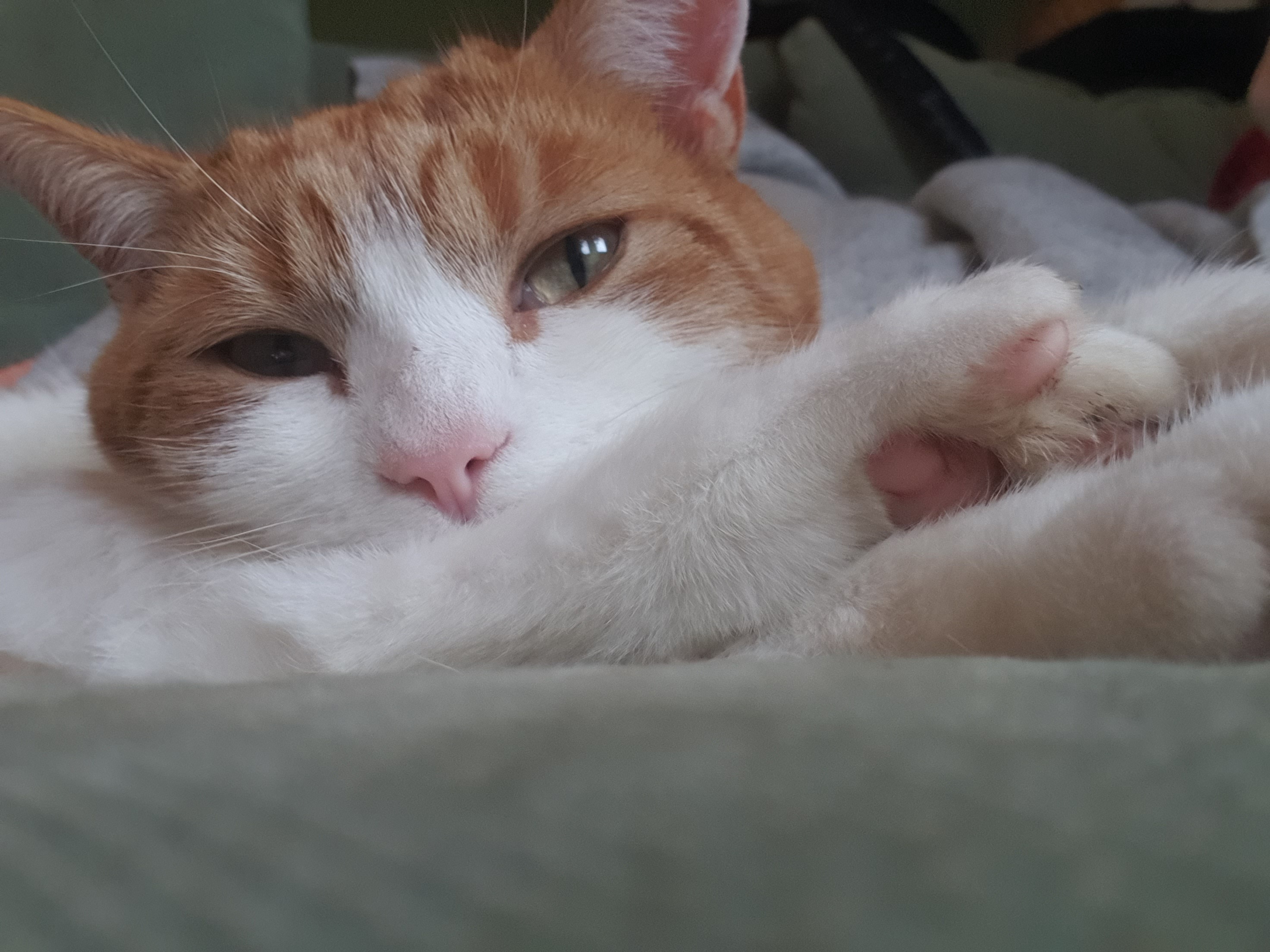 The Magic of Beans!