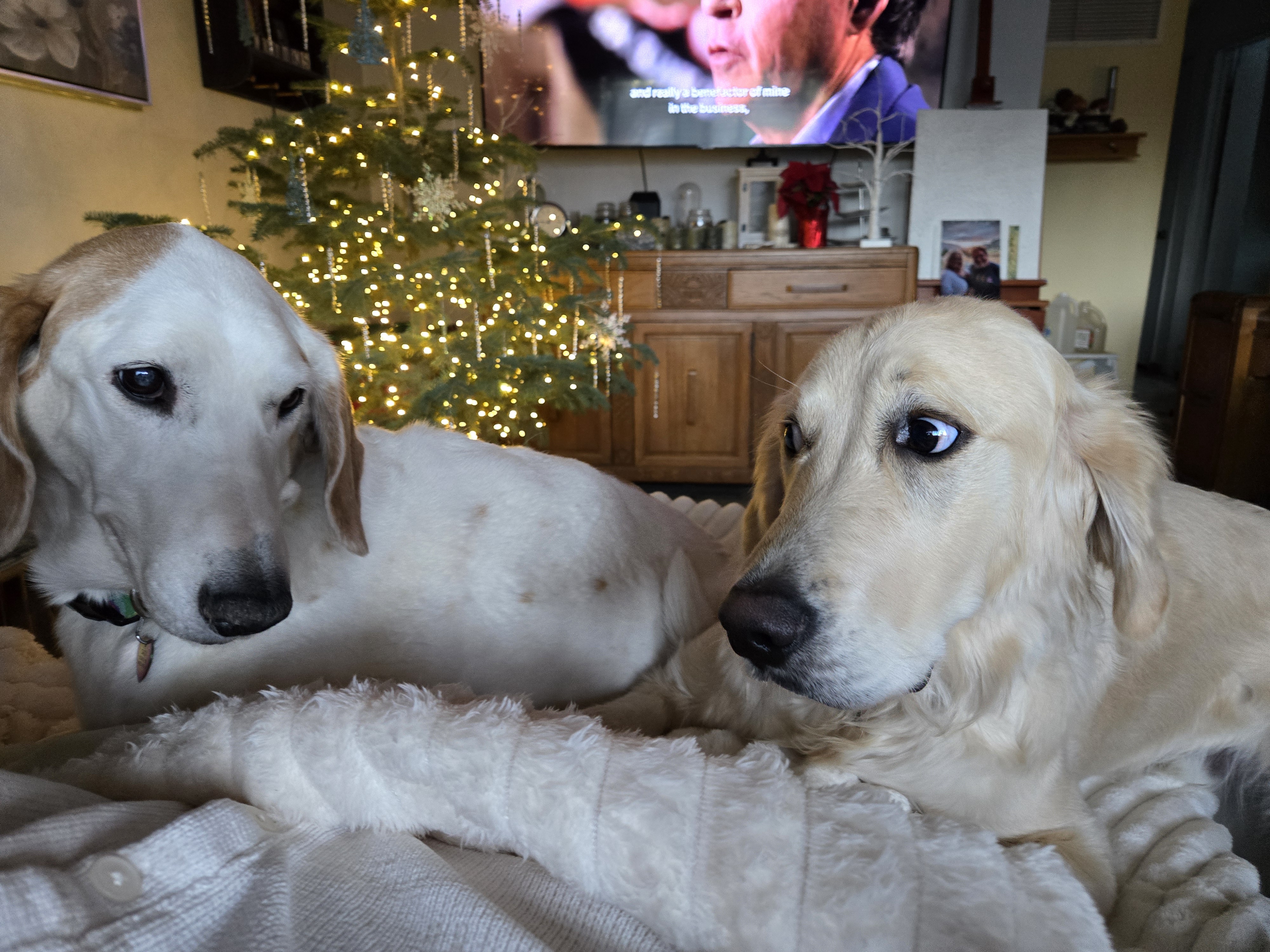 Daisy and Floyd: A Whimsical Encounter