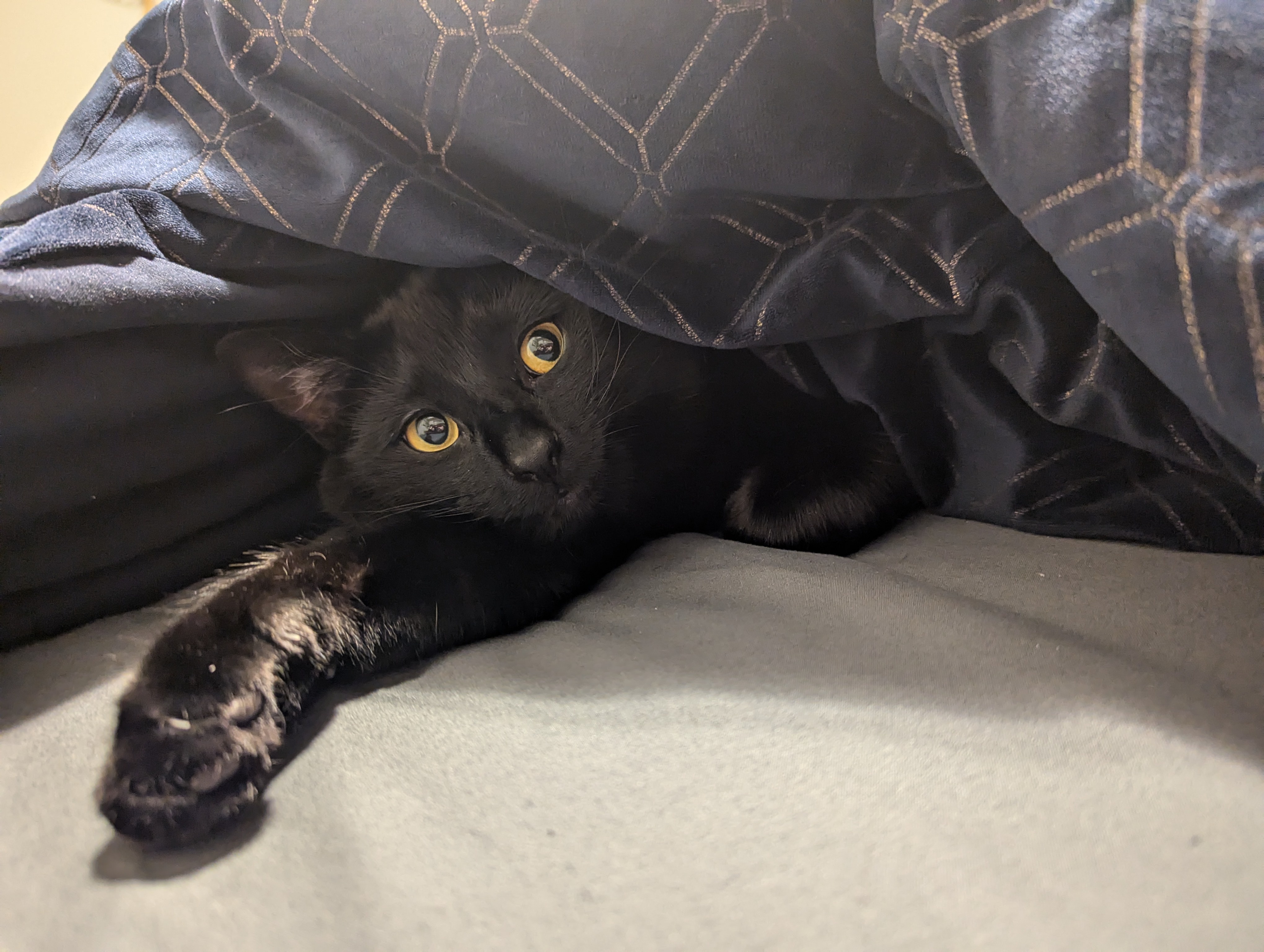 A Mysterious Void Emerges from the Depths