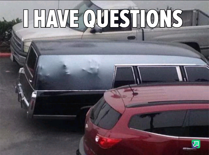 Curiosity Overload: I Have So Many Questions!