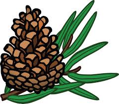 Team Pinecone is ready to roll!