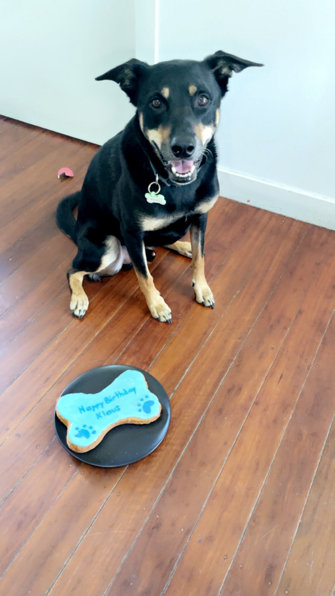 Celebrating Another Year: It's Cake Day Again!