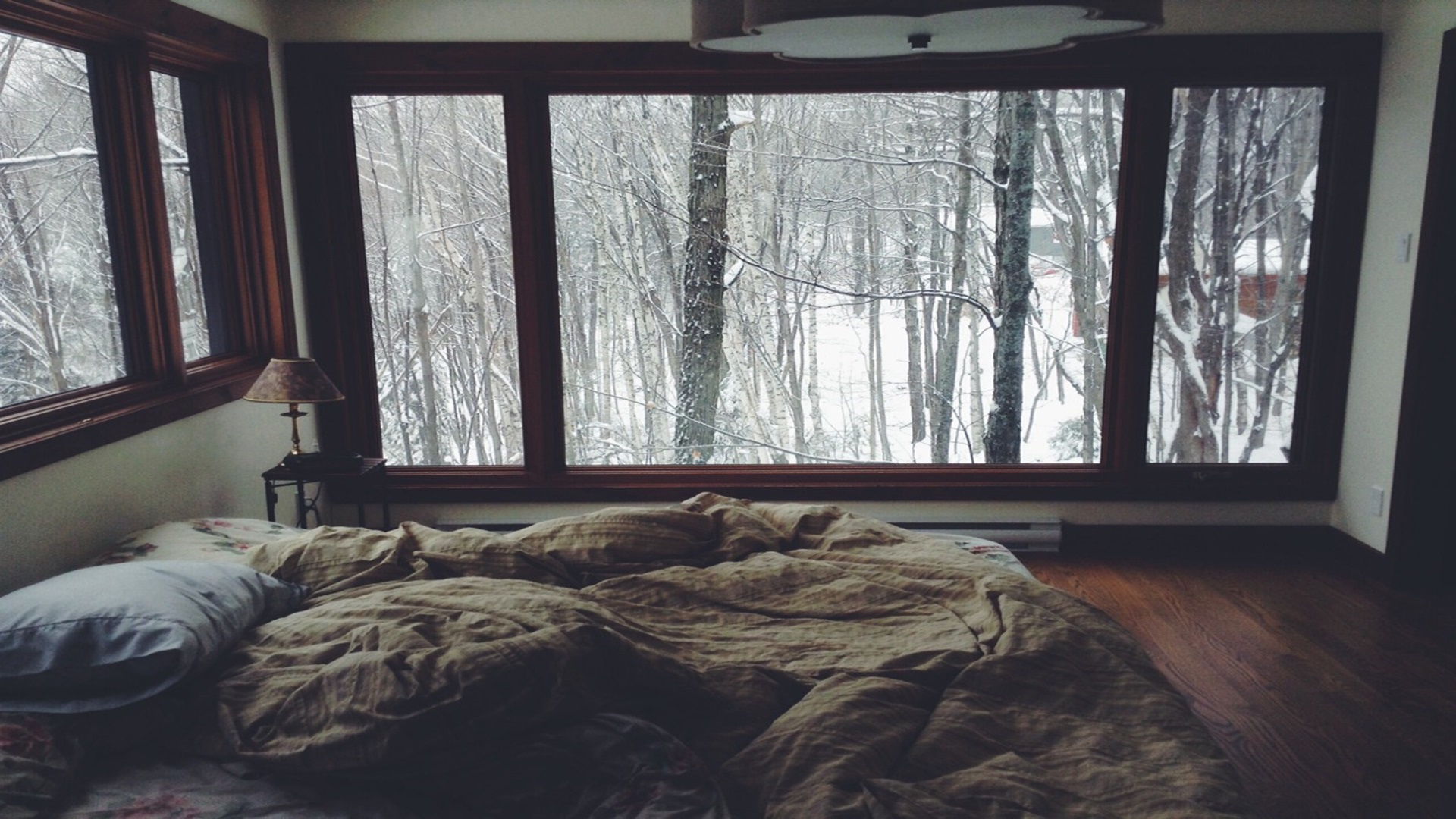 The Ultimate Cozy Spot
