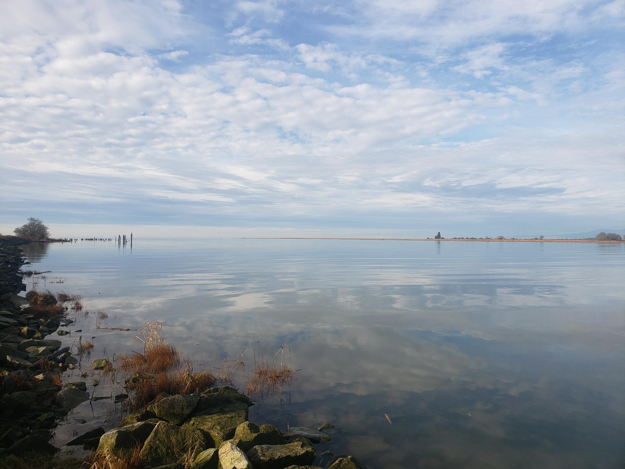 Exploring the Scenic Brunswick Point Trail in Ladner