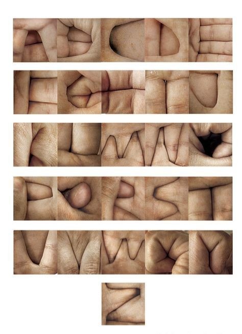 The Fleshy Alphabet: A Unique Guide for Every Situation