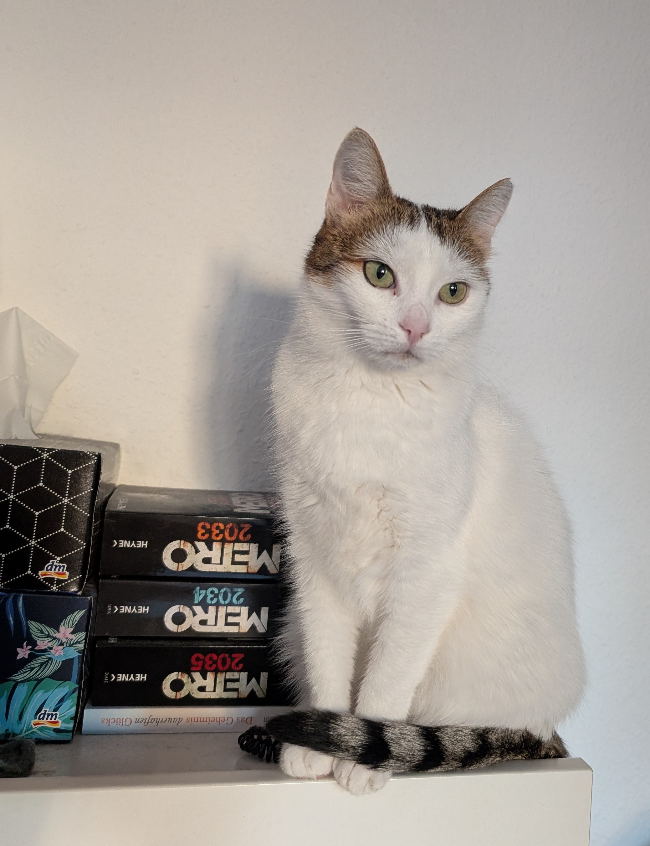 Cherished Sisters: Taki and Roya