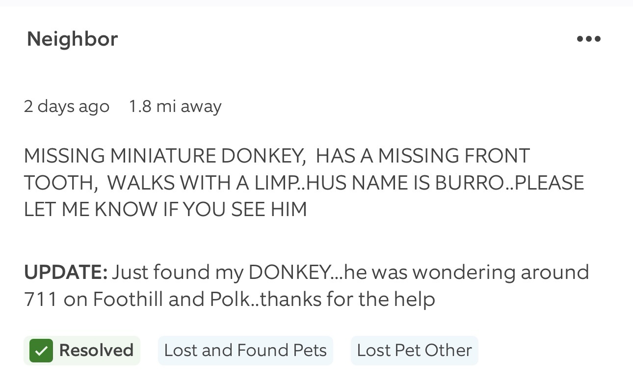 Introducing This Week's Missing Pet: A Heartfelt Call from the Ring App