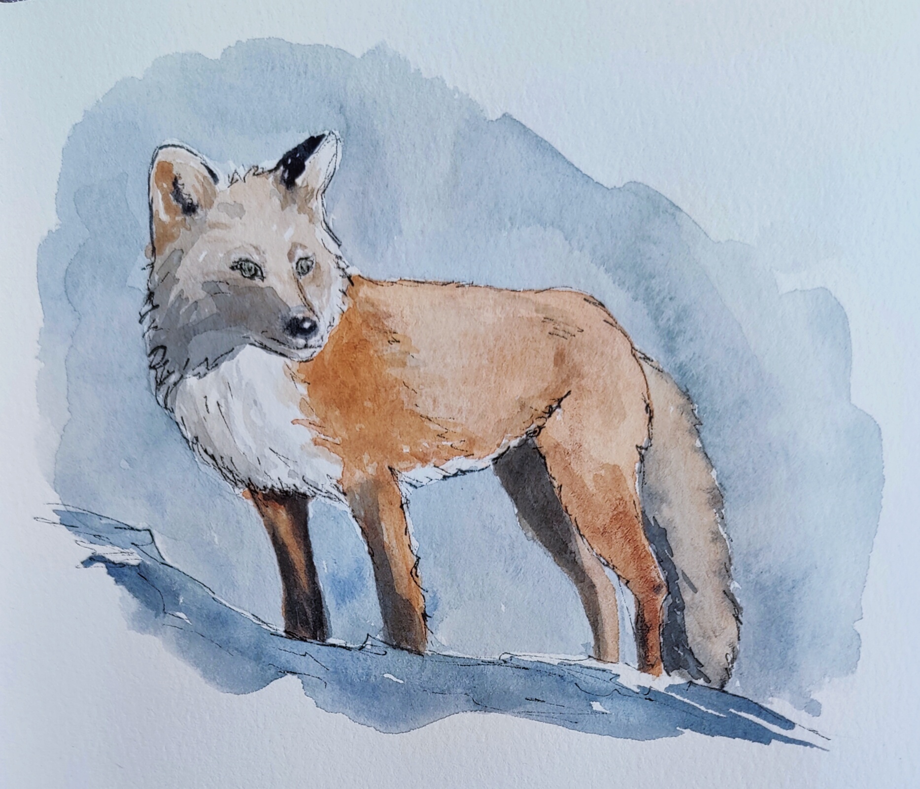 A Whimsical Fox Painting: My Creative Expression :)