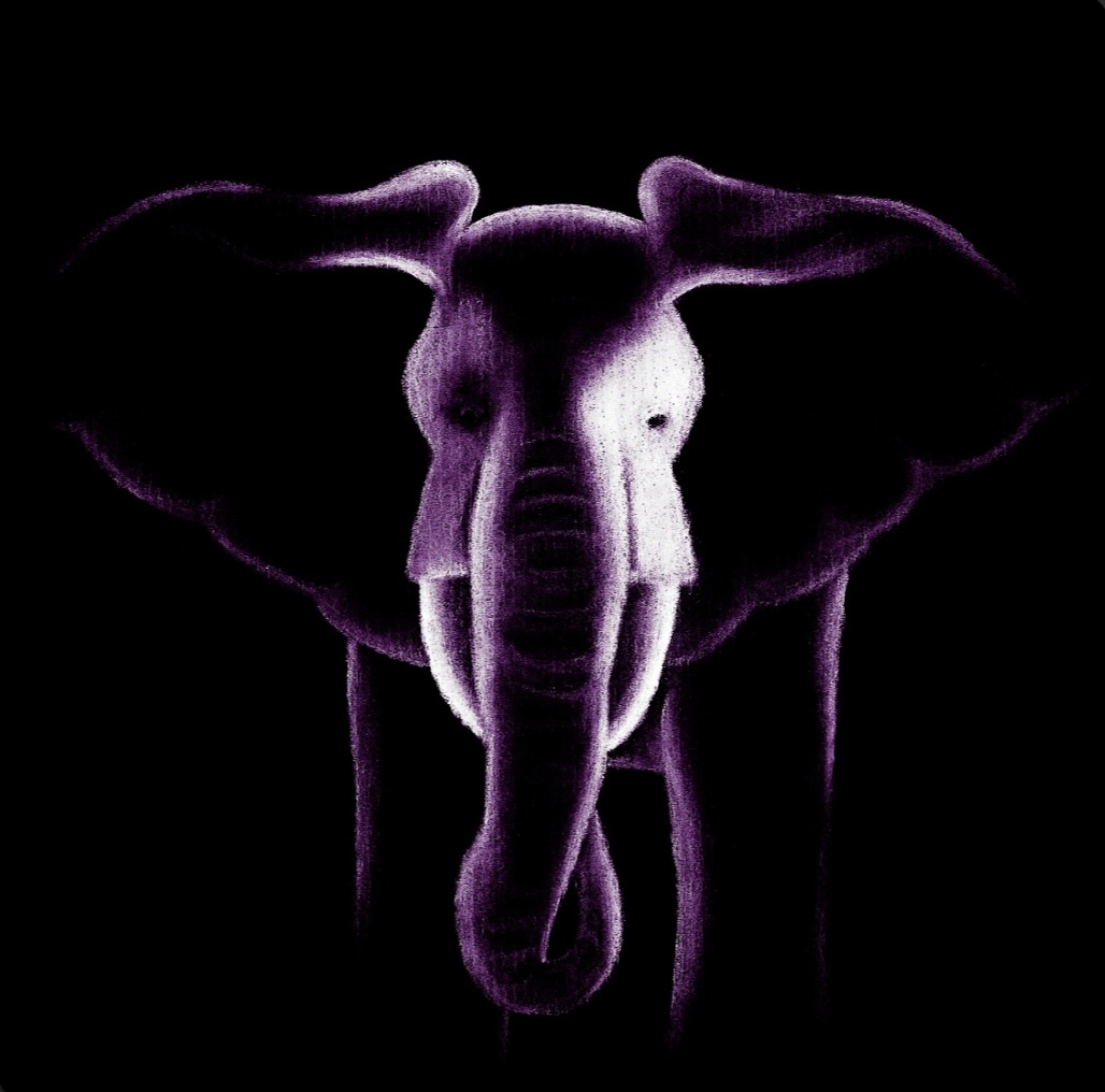 The Enigmatic Purple Elephant at the Art Crawl