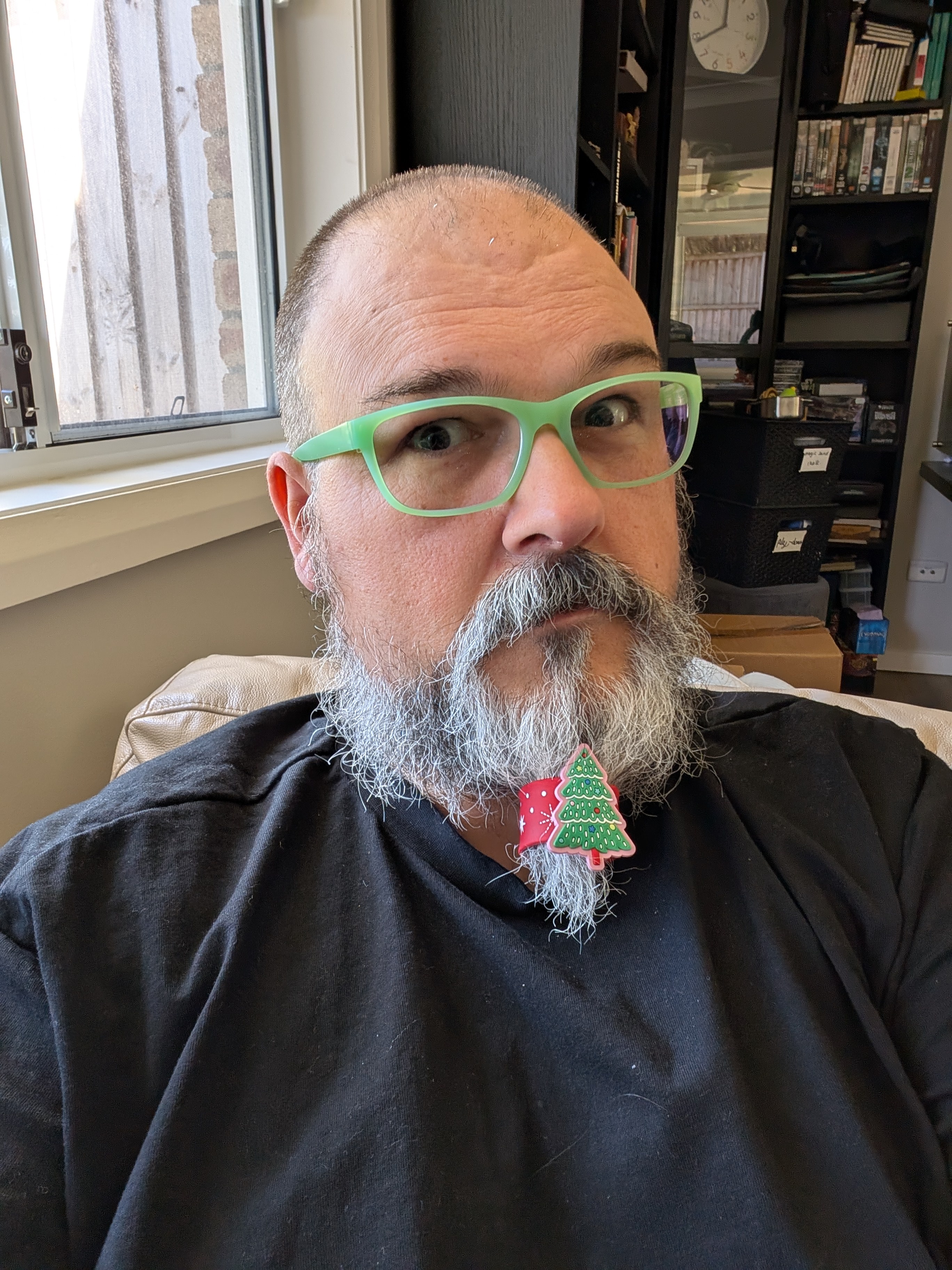 Happy Holidays, you cheeky scamps!