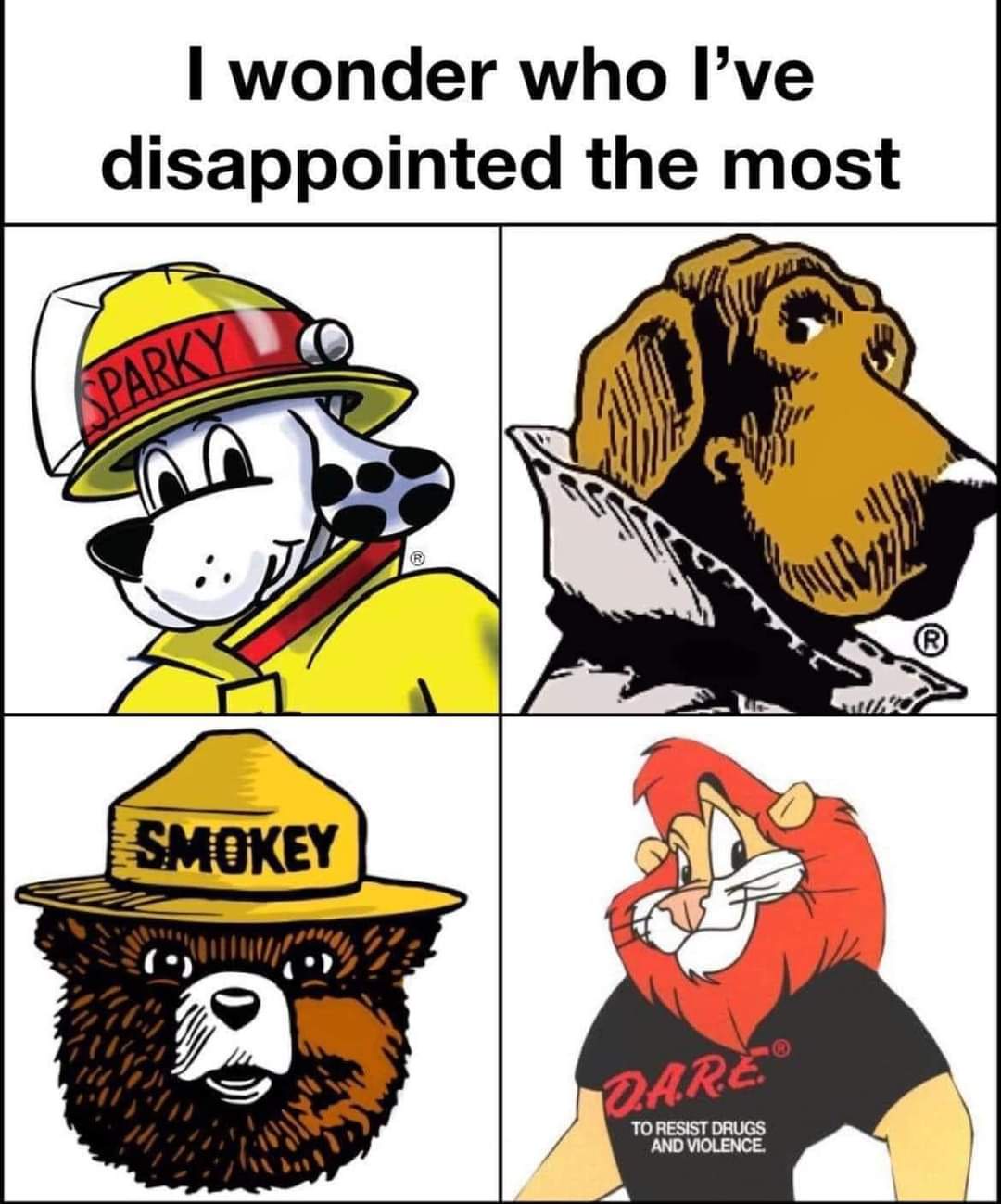 Apologies, Everyone...