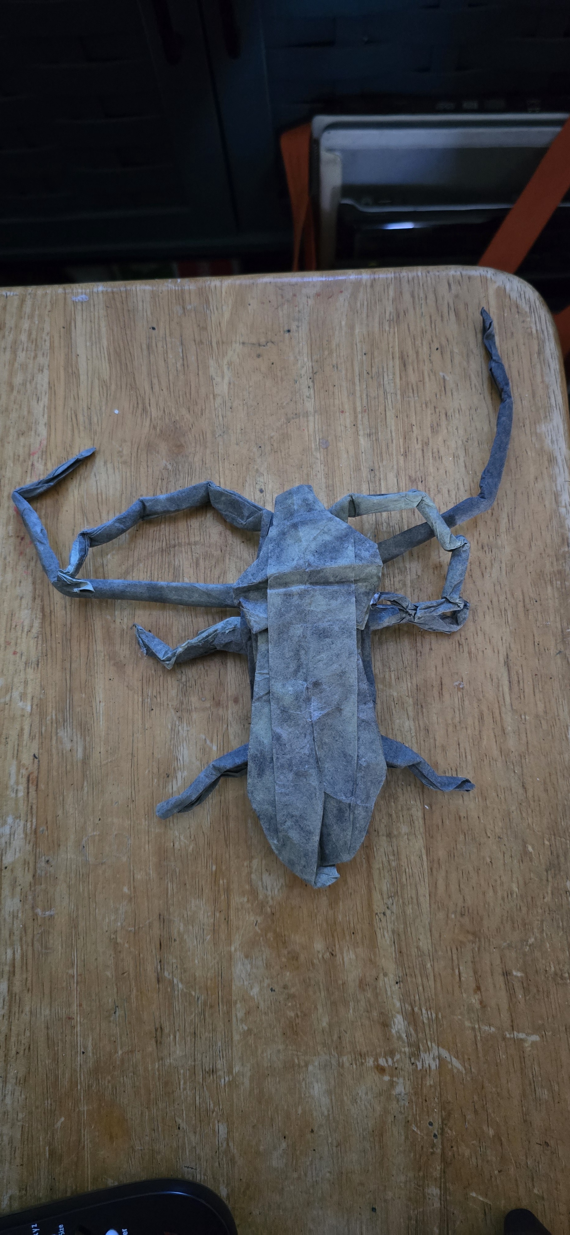 Meet the Acrocinus Longimanus, also known as the Harlequin Beetle.