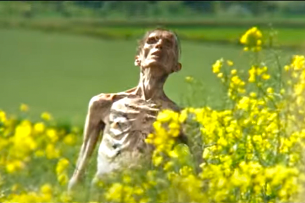 Zombie or Human: The Ultimate Dilemma