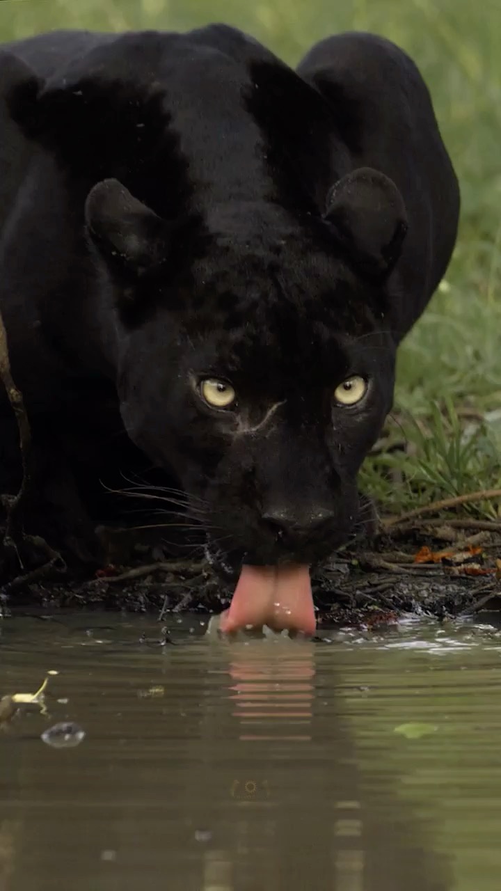 Behold the Majestic Beauty of Nature