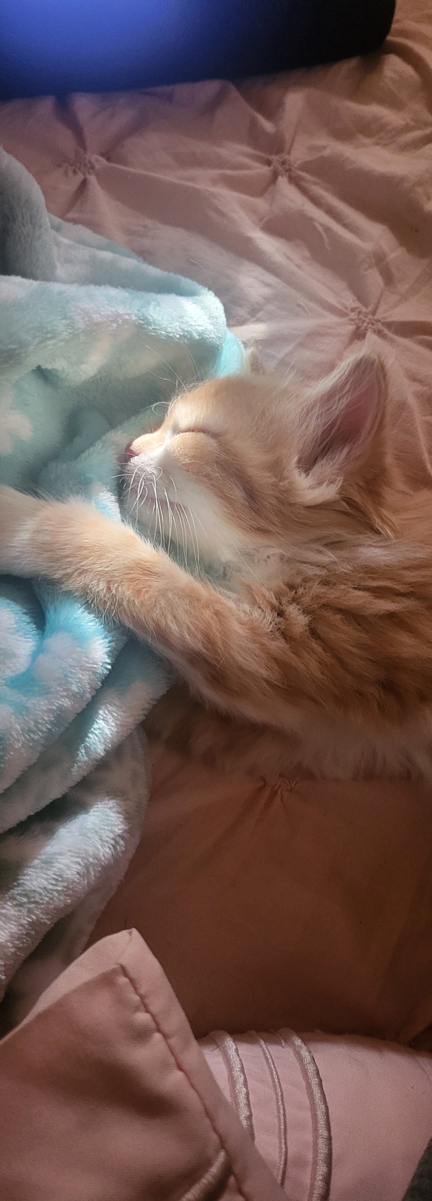A Heartwarming Moment: Sunshine Discovers Her While She Sleeps