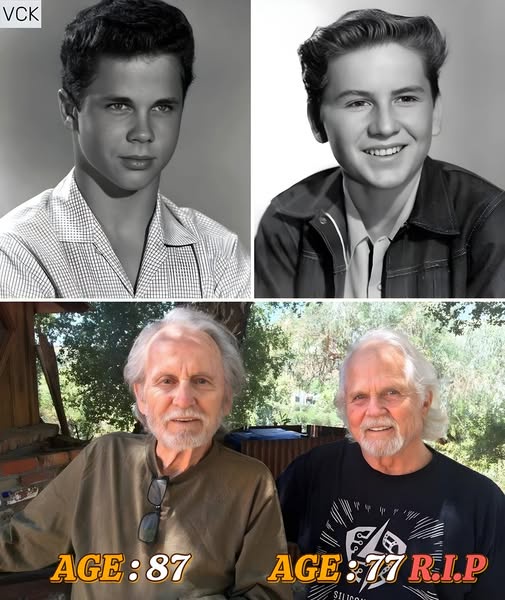 A Nostalgic Reunion: Billy Gray and Tony Dow in 2020