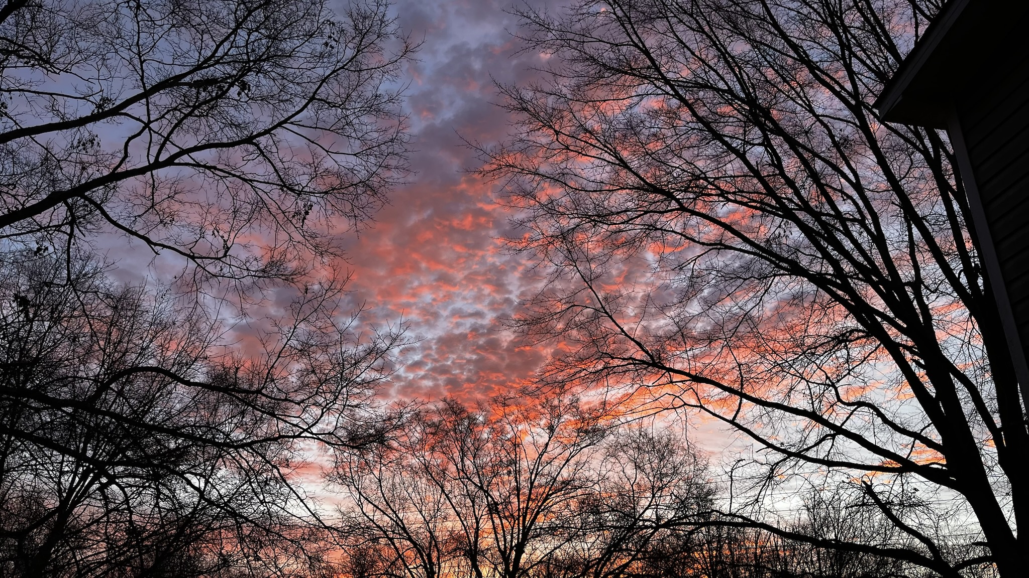 Breathtaking sunset views in South Carolina!