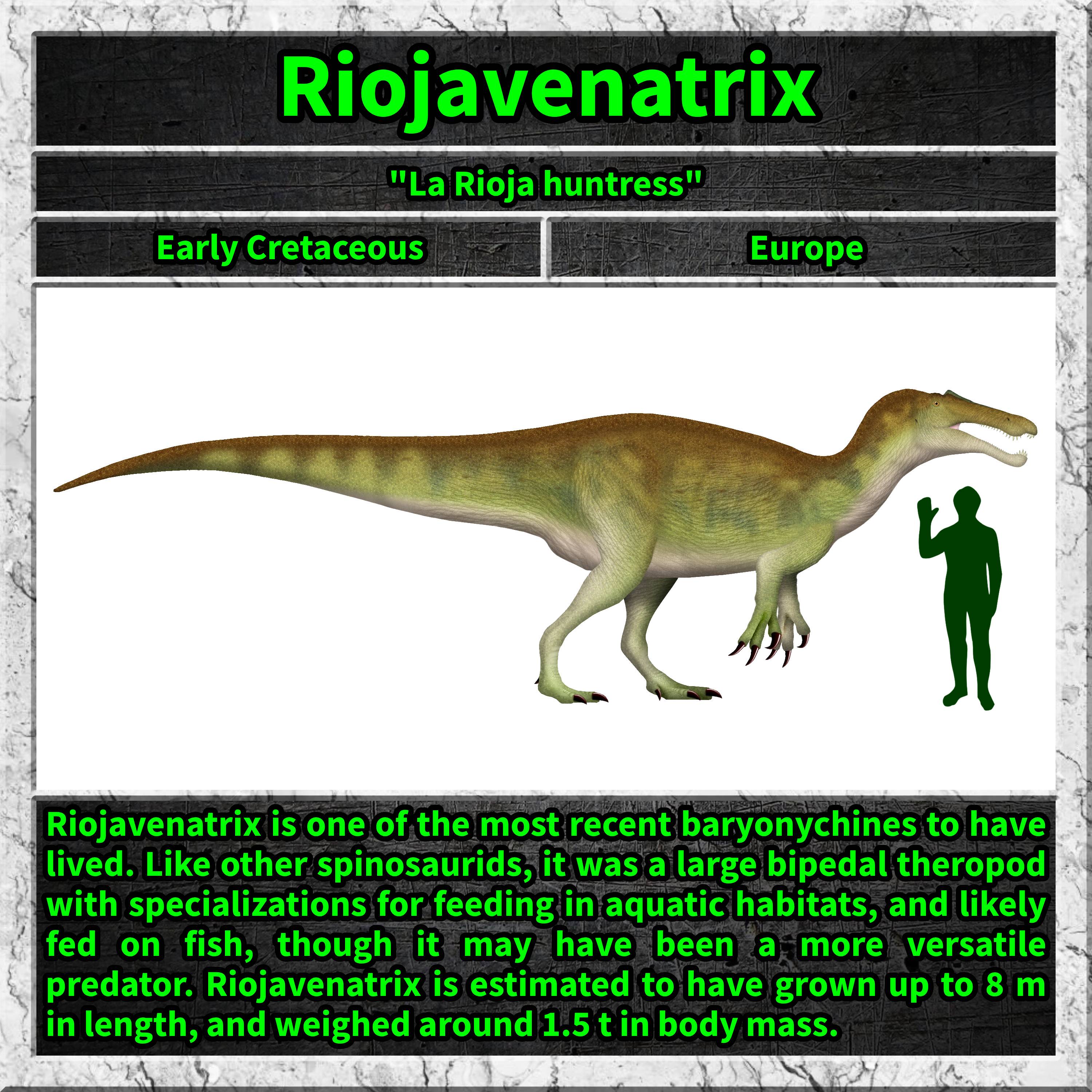Introducing the Riojavenatrix: A Unique Discovery