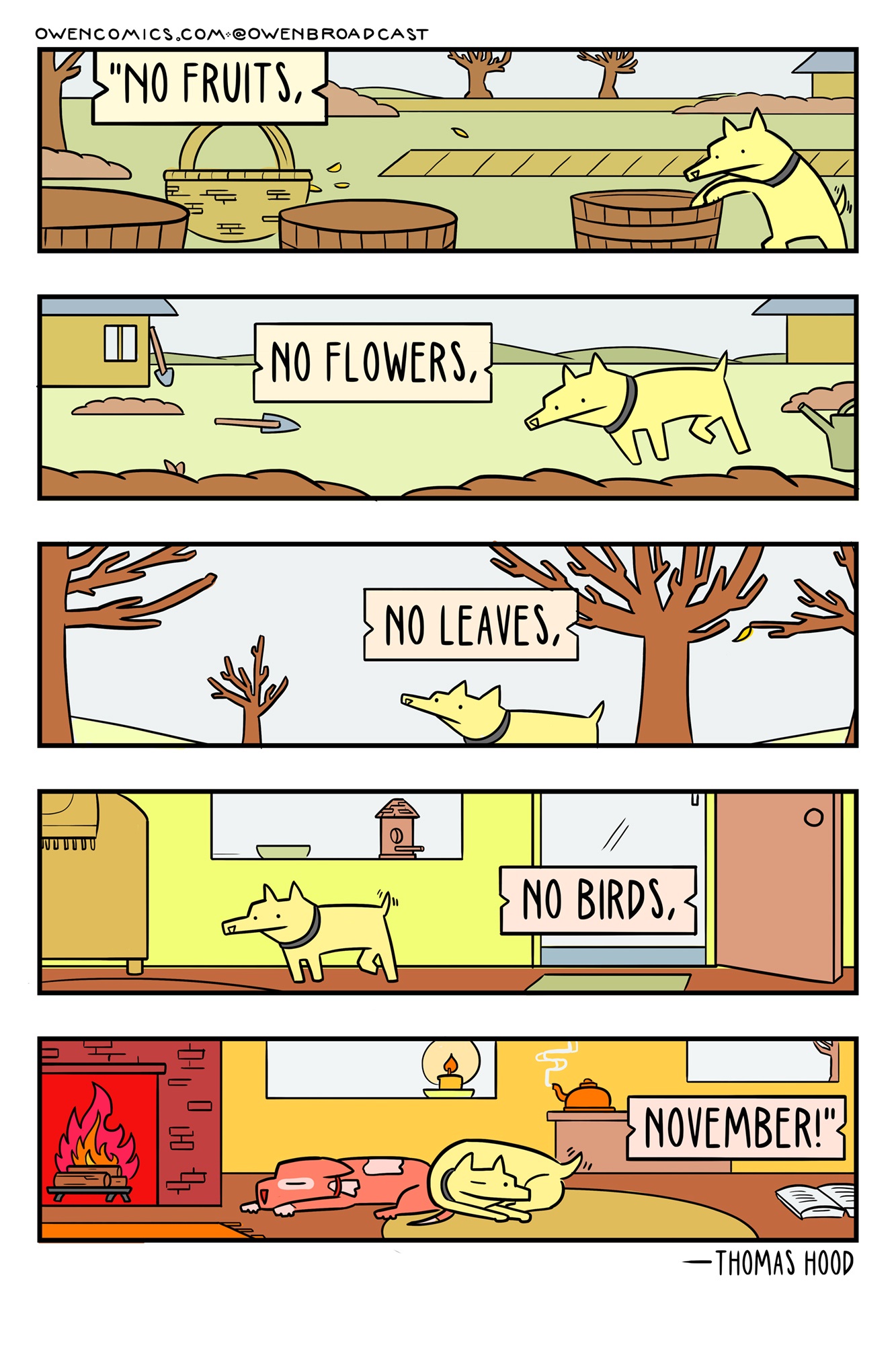 Two Dogs: Yes, It's Really Just Two!