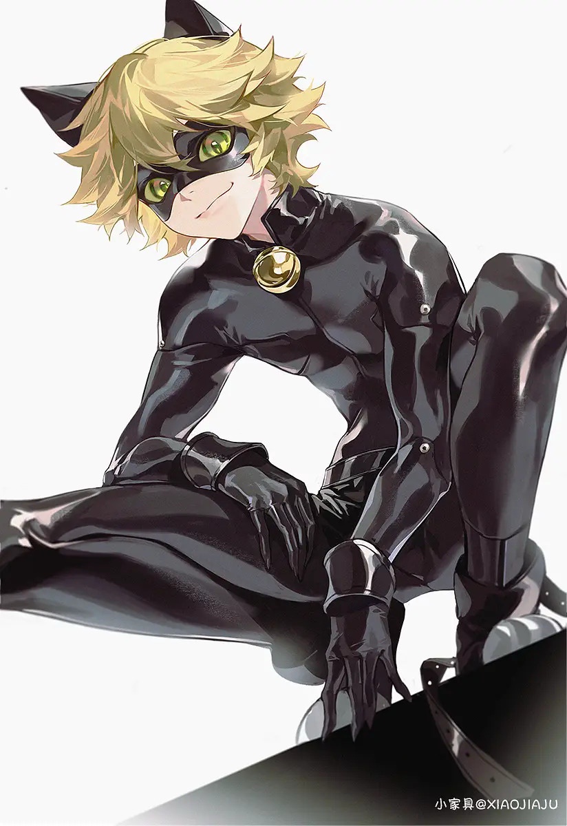 Cat Noir: The hero we didn't know we needed!