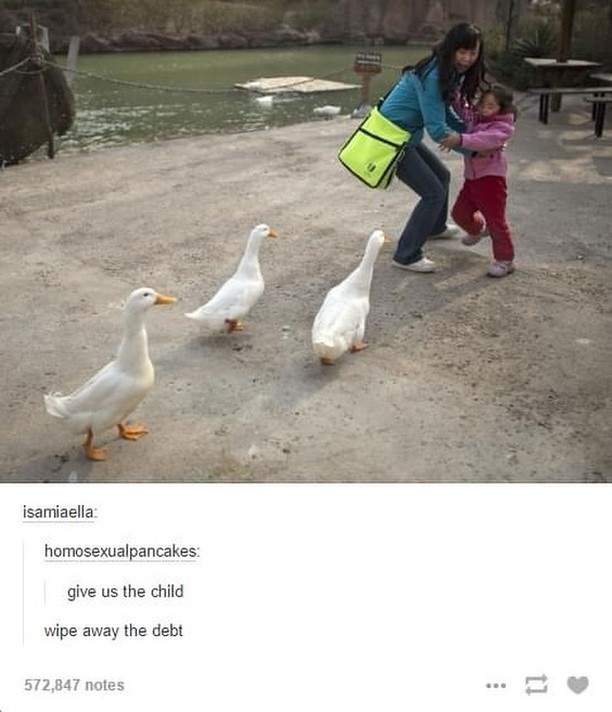 Geese: The Feathered Agents of Chaos